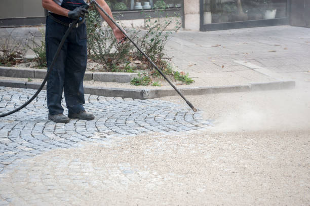 Best Roof Washing  in Cashton, WI